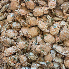 Load image into Gallery viewer, Cua Sữa Sấy Mè Hành (Baby Crab w/ Sesame and Onion) - Duc Thanh Kho Bo