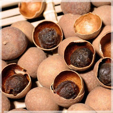 Load image into Gallery viewer, Nhãn Sấy Khô Nguyên Vỏ (Dried Longan) 16oz - Duc Thanh Kho Bo