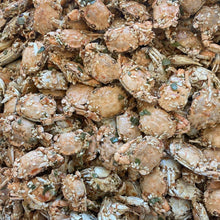 Load image into Gallery viewer, Cua Sữa Sấy Mè Hành (Baby Crab w/ Sesame and Onion) - Duc Thanh Kho Bo
