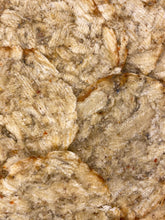 Load image into Gallery viewer, Khô Cá Chài Nướng (Dried Bartail Flathead Fish) - Duc Thanh Kho Bo
